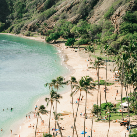 Hawaii Summer Collection
