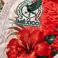 Mexico Hawaii Shirt HC01